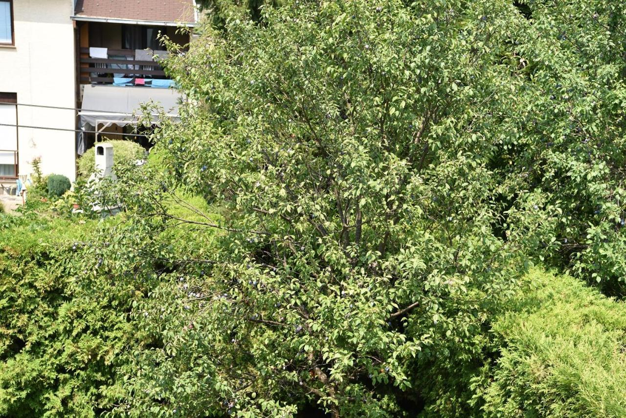 Apartman Jadranka Zaprešić エクステリア 写真